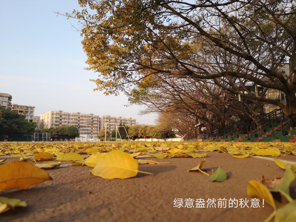 TapTap点点官方网站